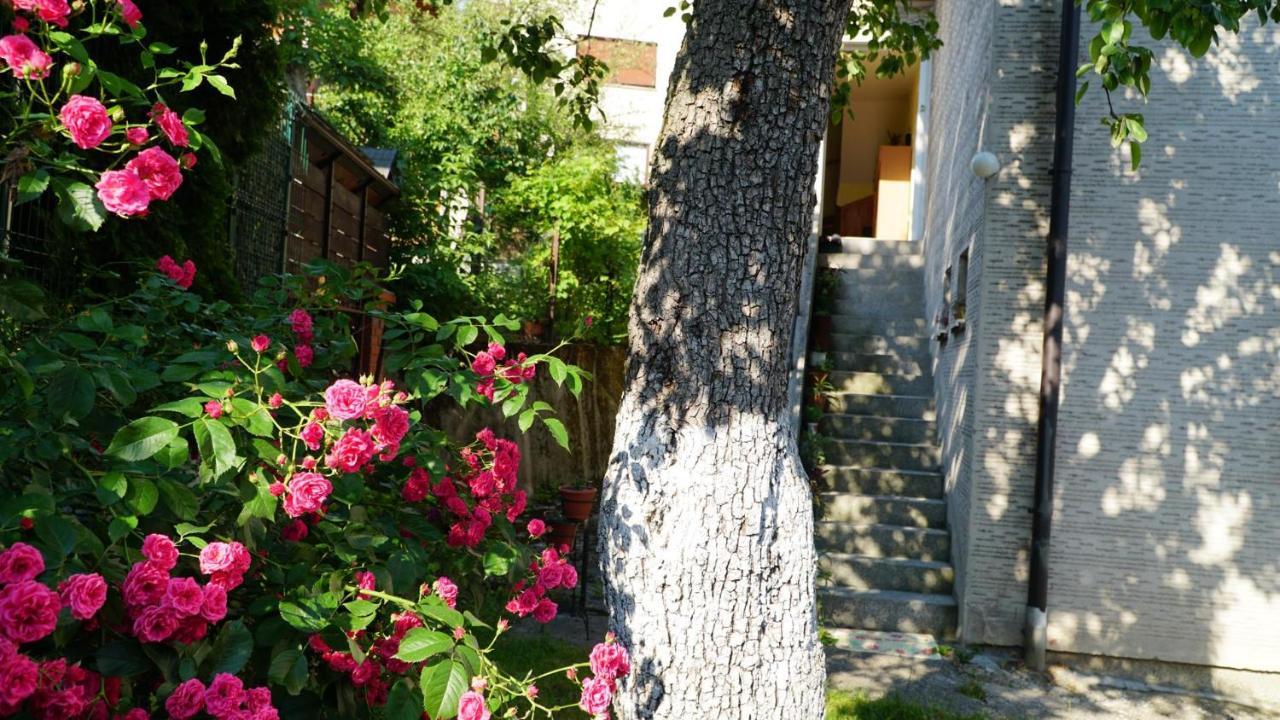Hedgehog'S Home - Jezeva Kucica Free Parking Sarajevo Luaran gambar