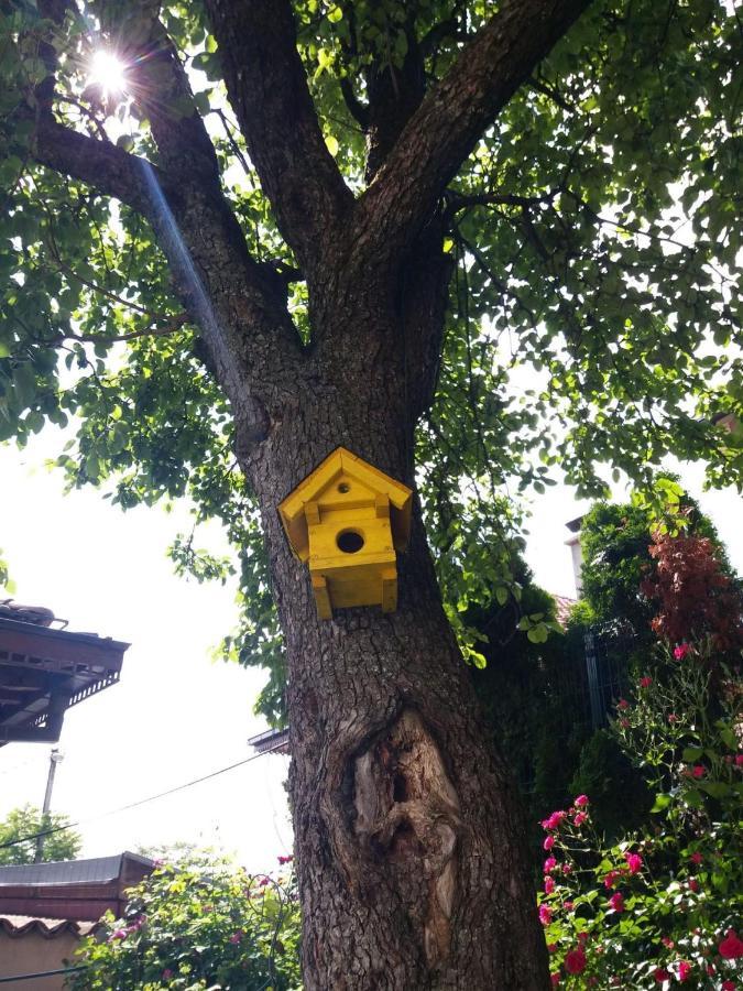 Hedgehog'S Home - Jezeva Kucica Free Parking Sarajevo Luaran gambar