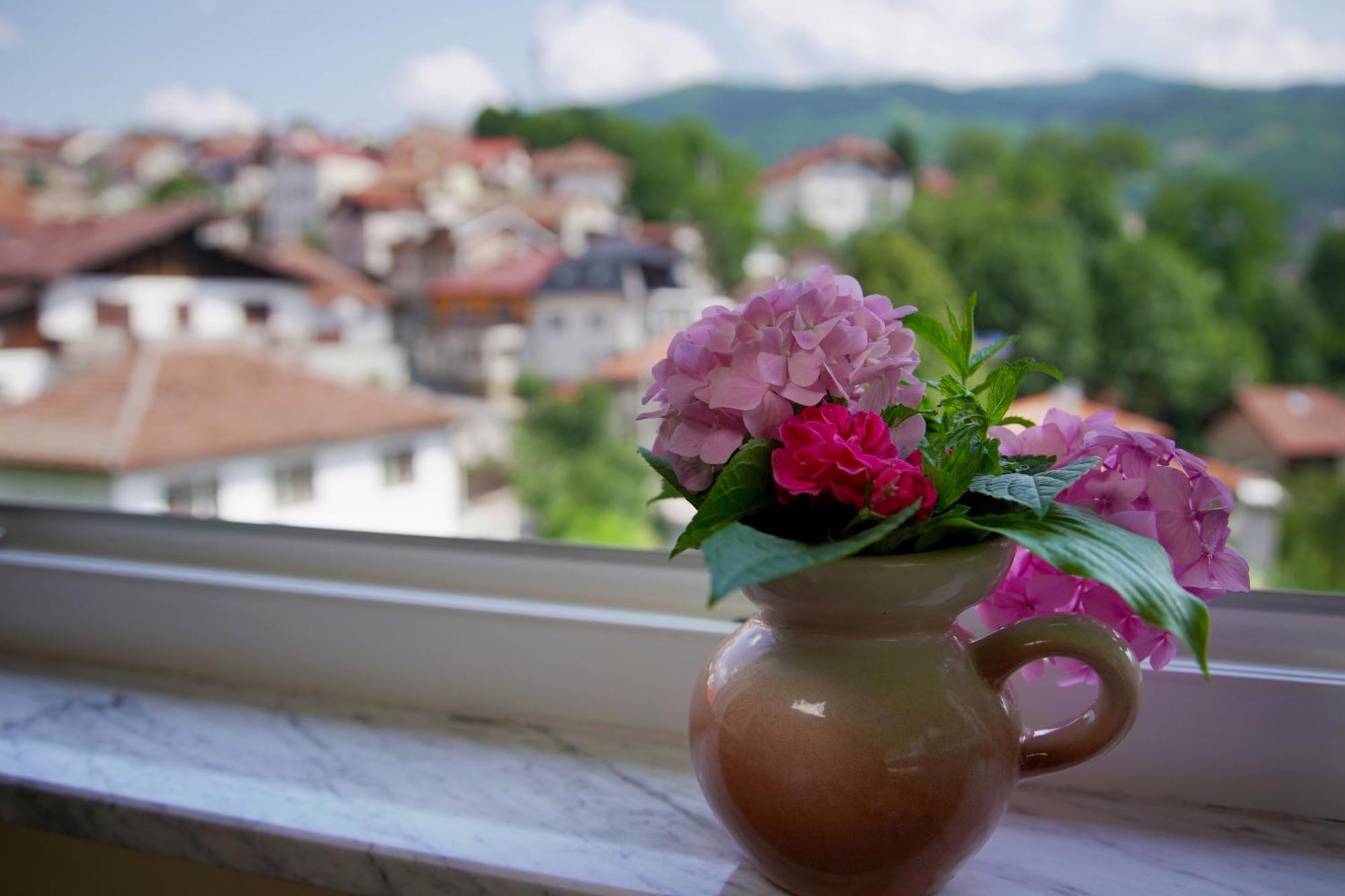 Hedgehog'S Home - Jezeva Kucica Free Parking Sarajevo Luaran gambar